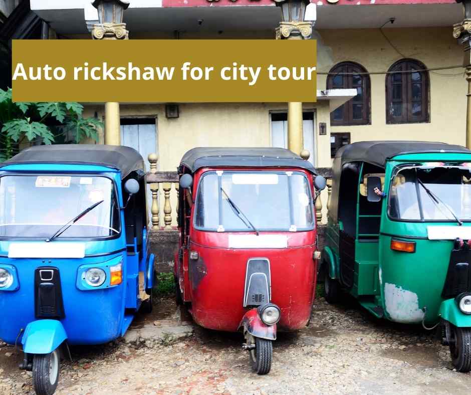 udaipur city tour auto rickshaw